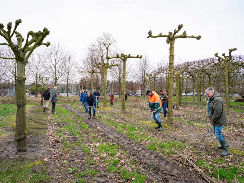 PIMG2677-Enhanced-NR